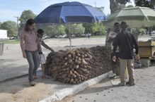 O evento, que acontece toda terceira terça-feira do mês, traz barracas com frutas, verduras e raízes