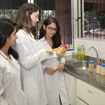 Pesquisa da Ufal desenvolve bebida nutritiva à base de inhame