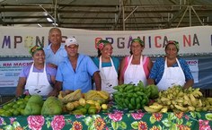 Agricultores familiares durante uma das feiras orgânicas que o projeto promove